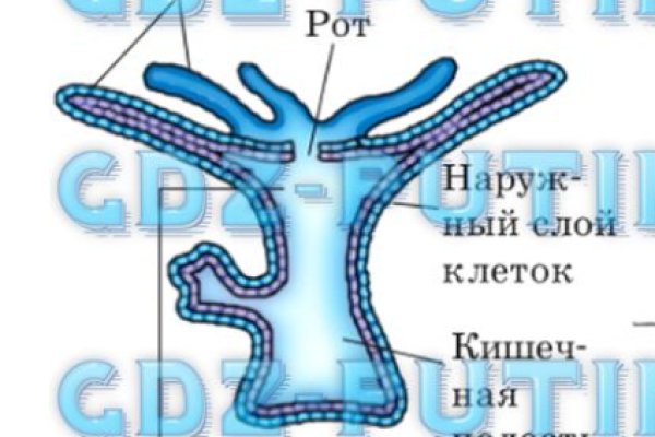 Как зайти на кракен даркнет