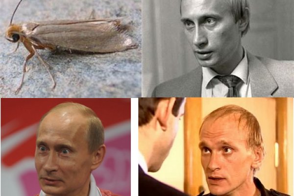 Взломали аккаунт кракен