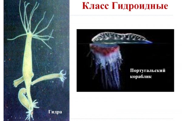 Как вывести деньги с кракена тор