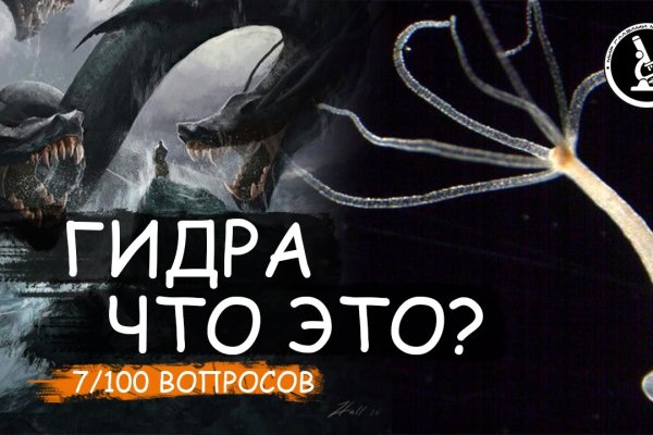 Что продают в кракен маркете