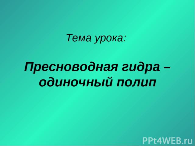 Как вывести деньги с kraken